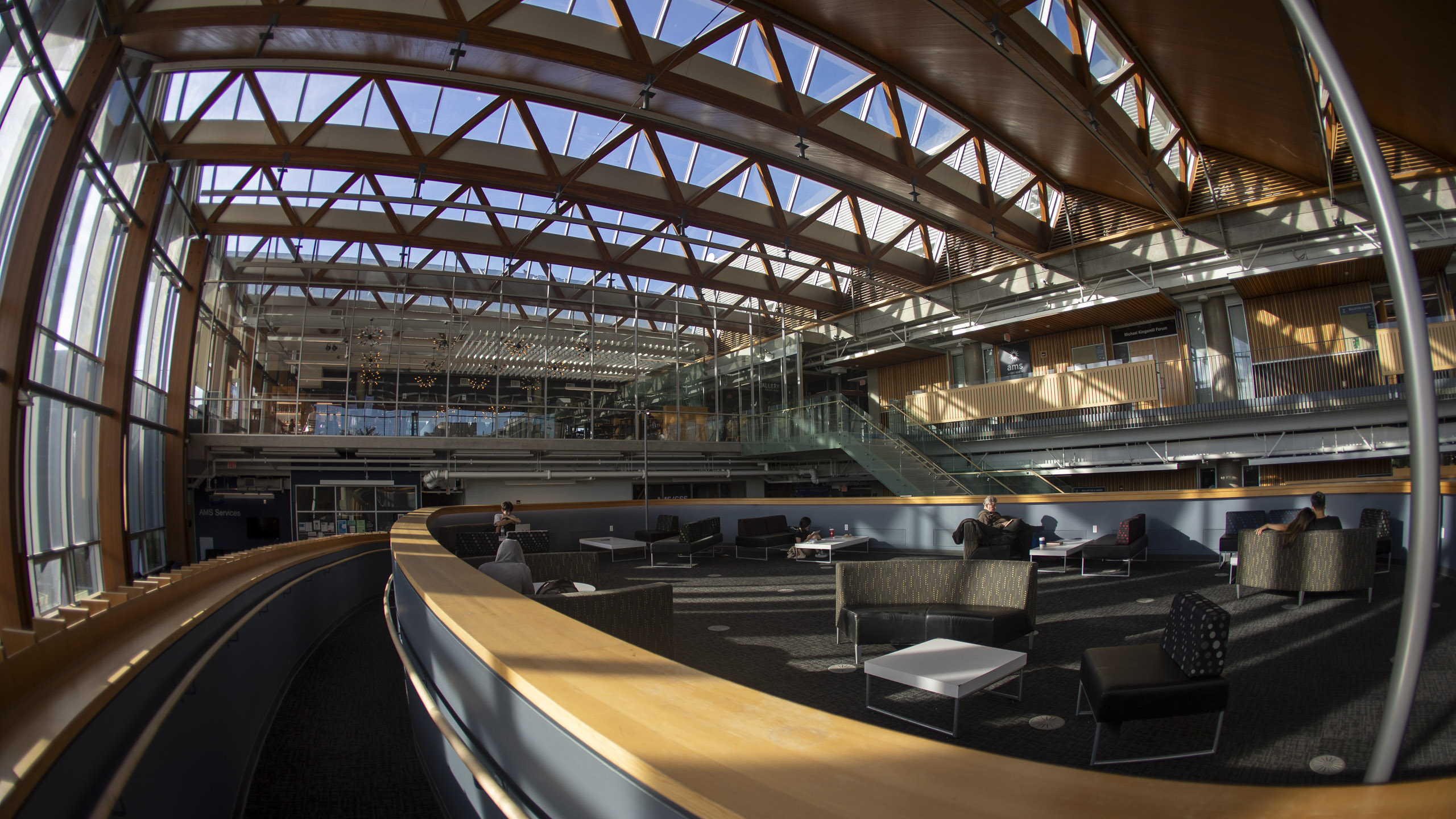 20250728 184721 RD4 9443