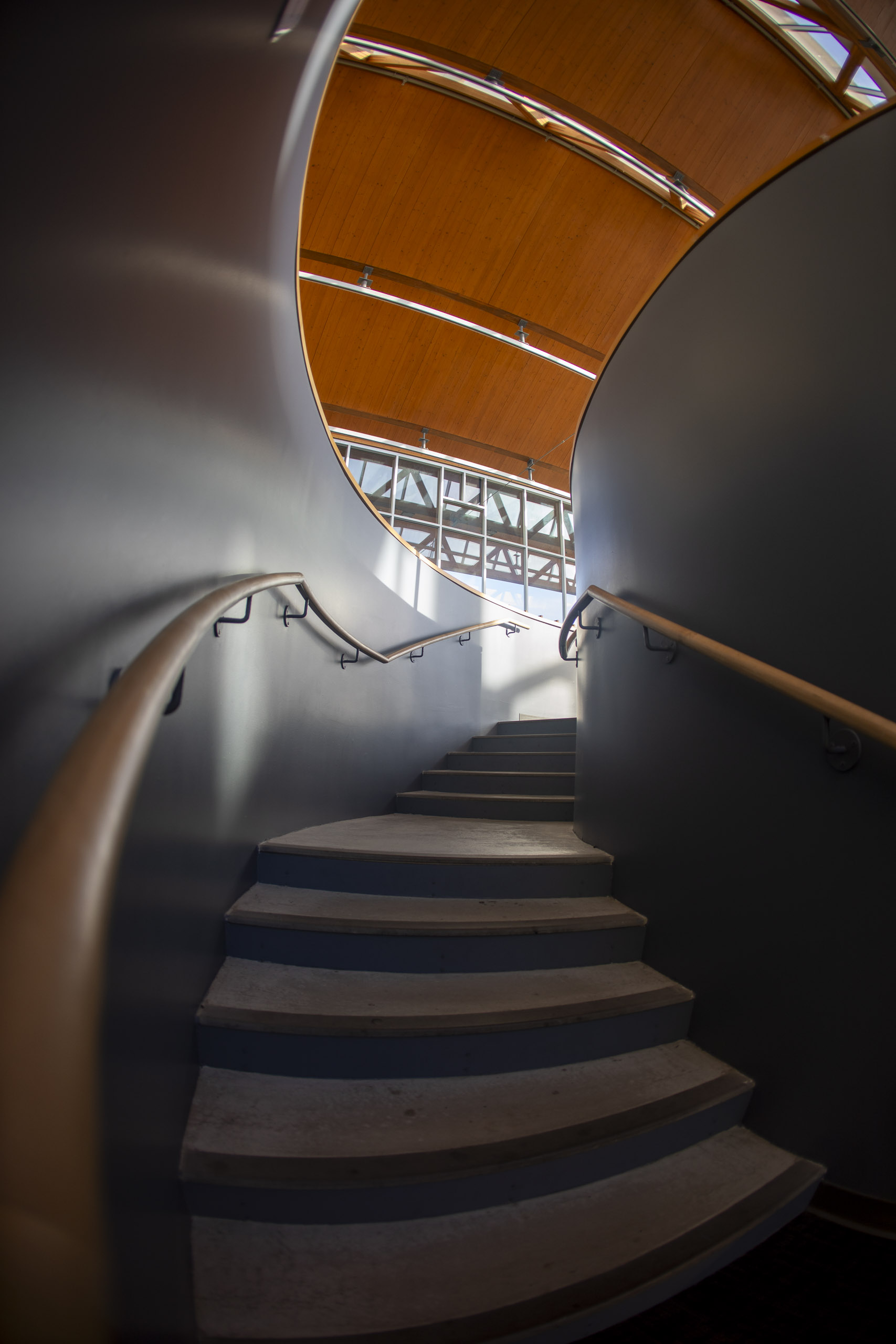 20250728 184831 RD4 9456