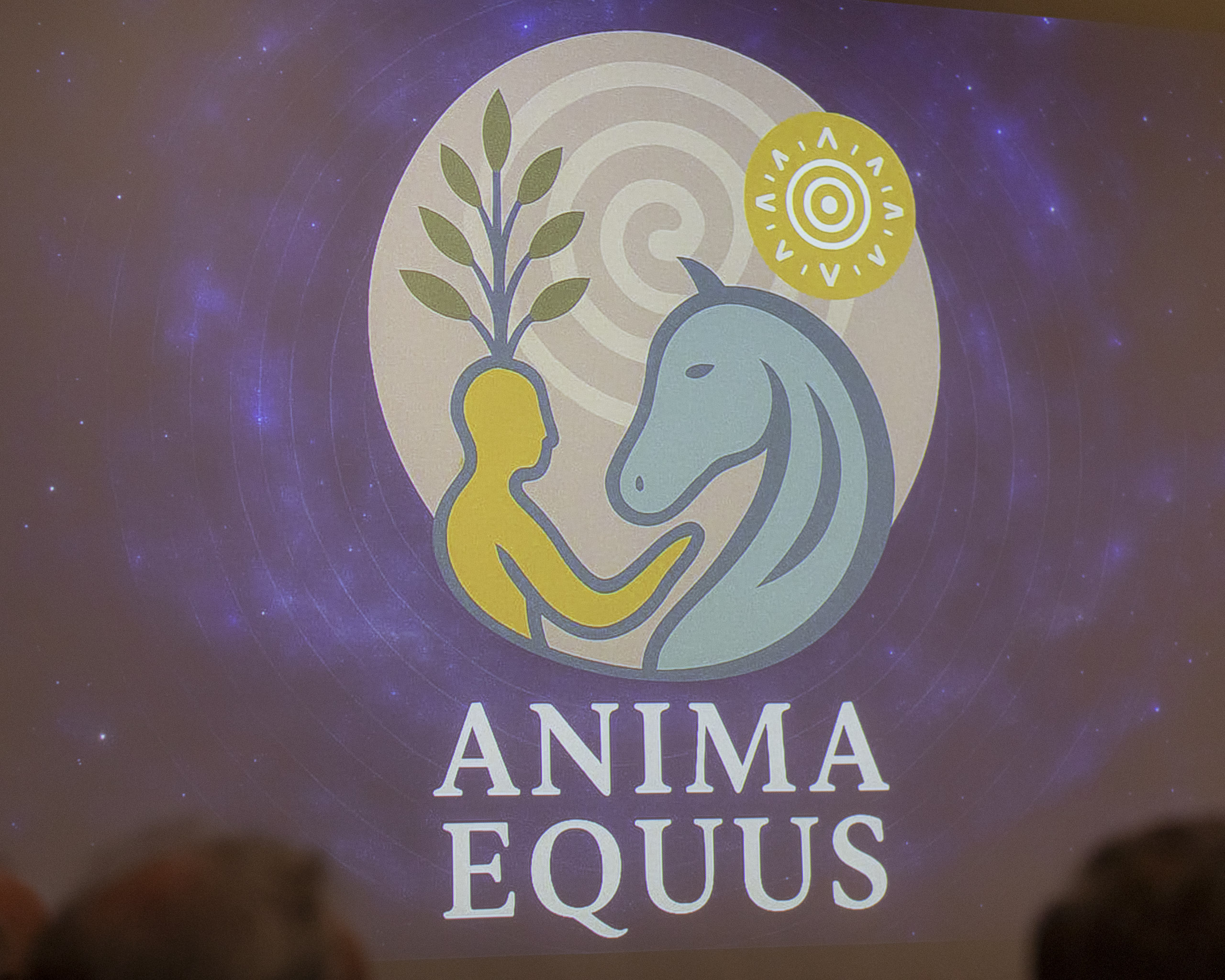 20250729 093949 RD4 9870