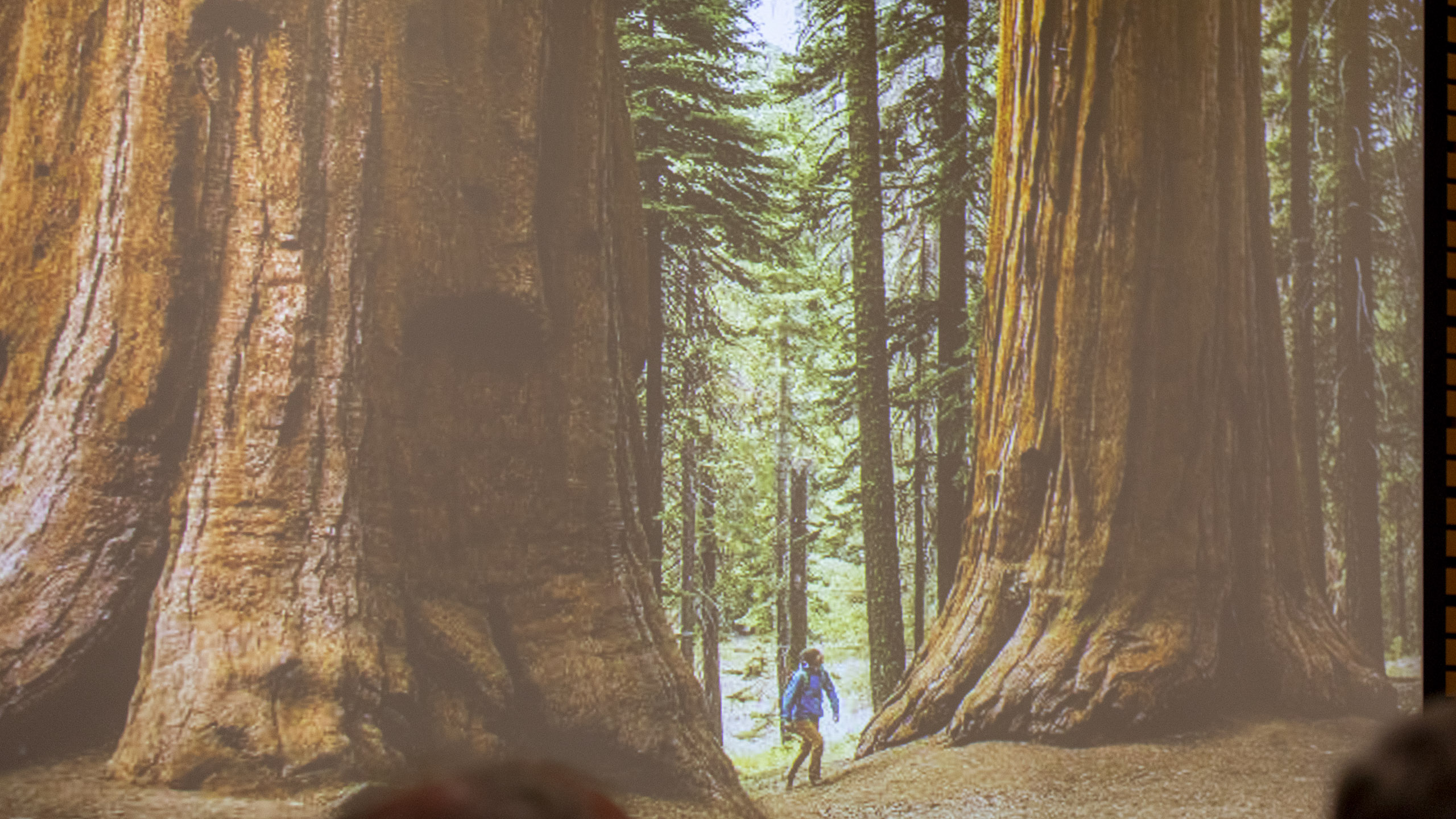 20250729 115325 RD4 0049