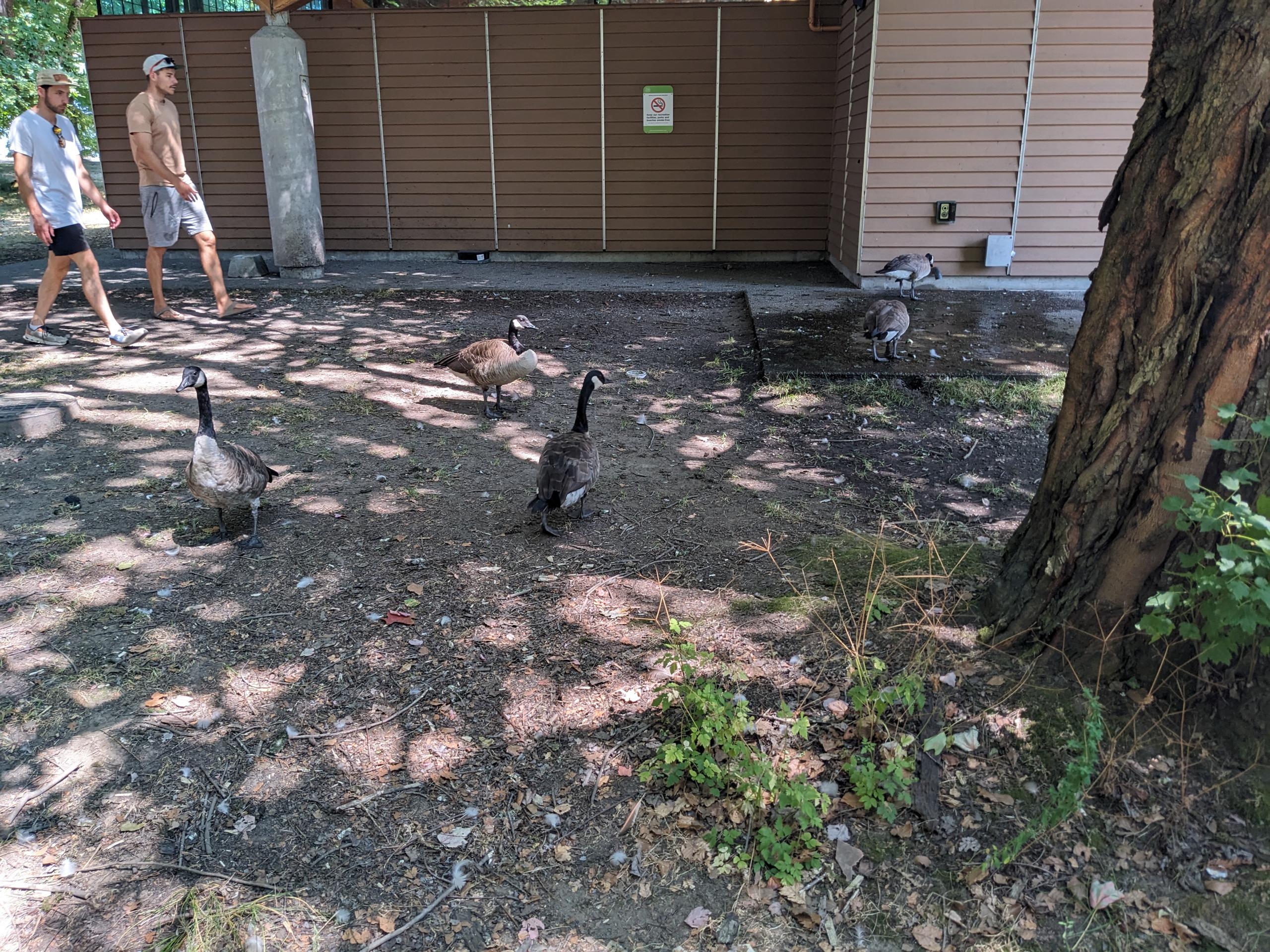 PXL 20250730 193239003