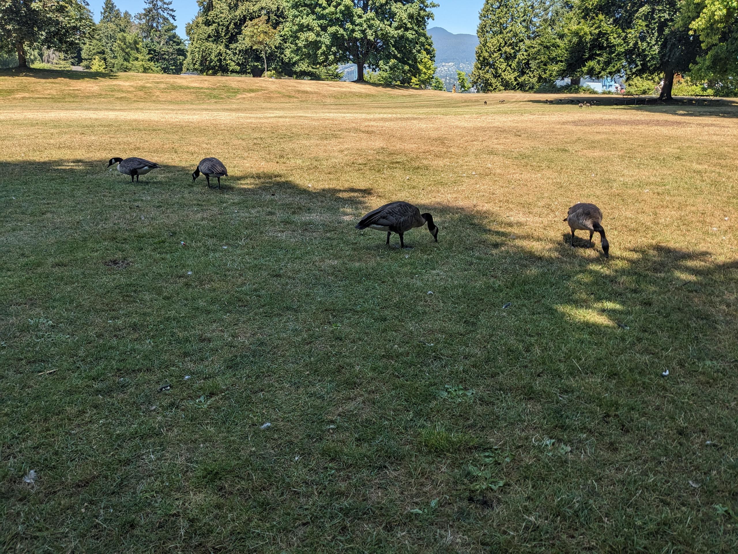 PXL 20250730 194540935