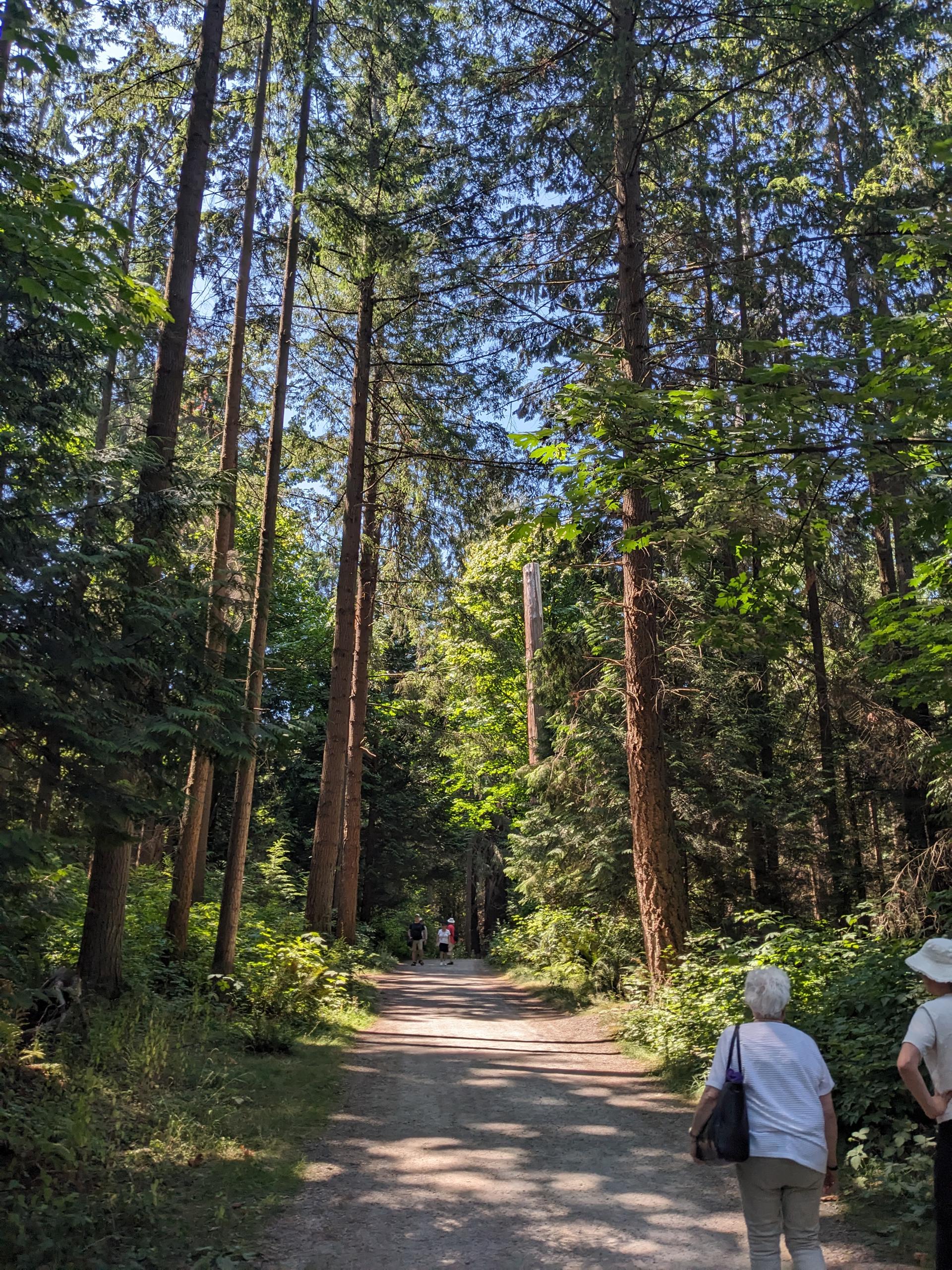 PXL 20250730 200228527