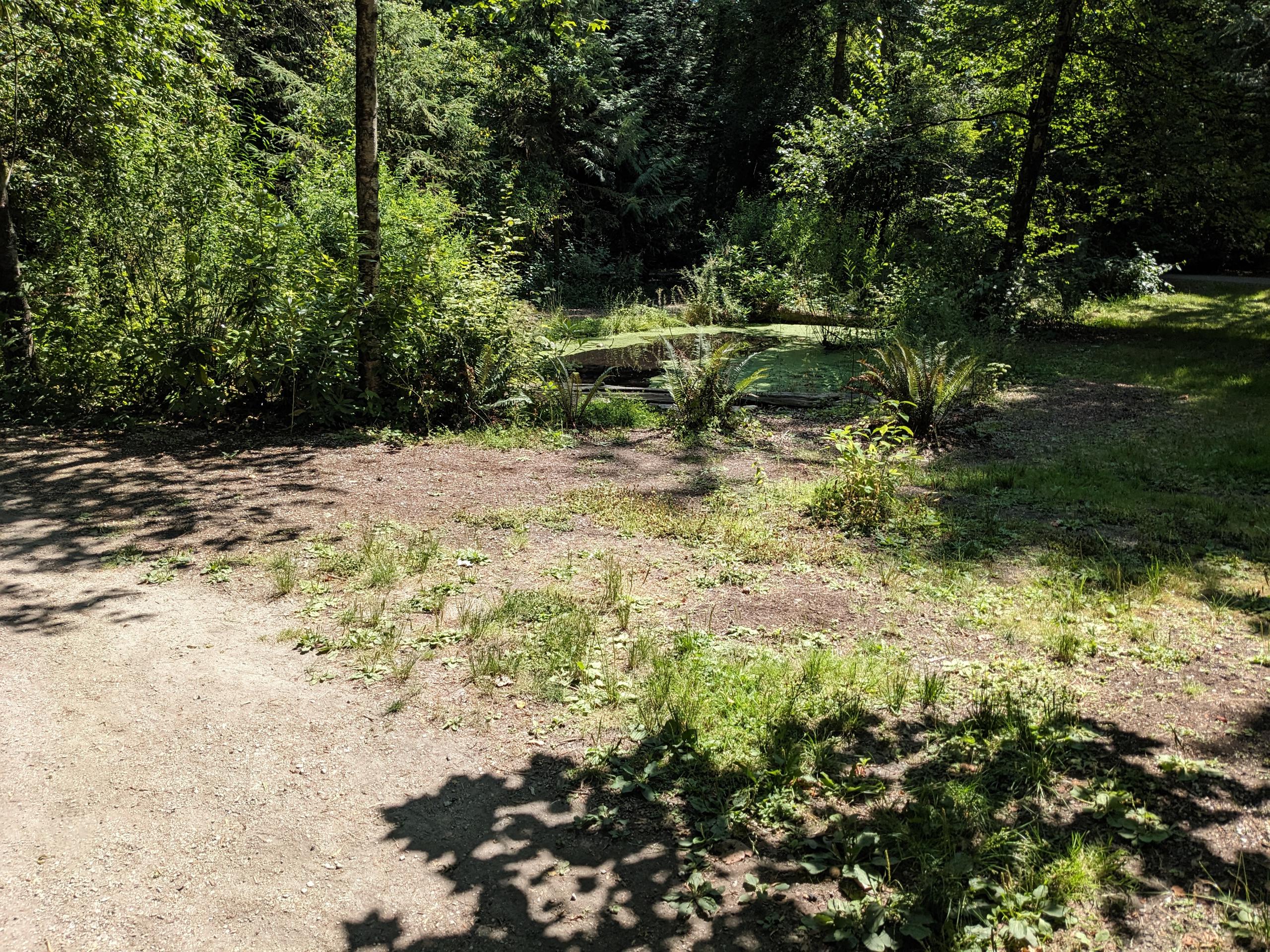 PXL 20250730 201156191