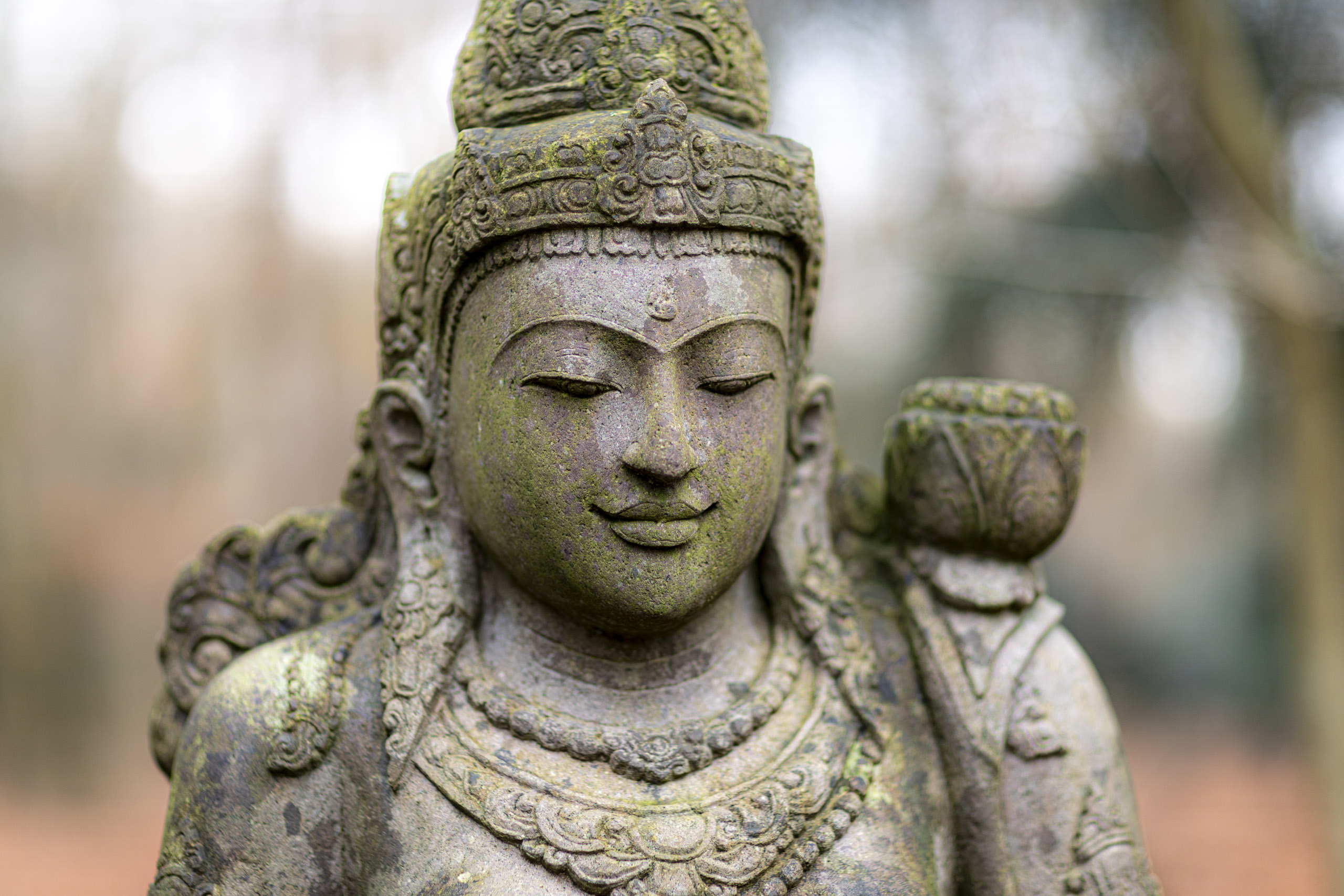 20241206131926 RD4 5722