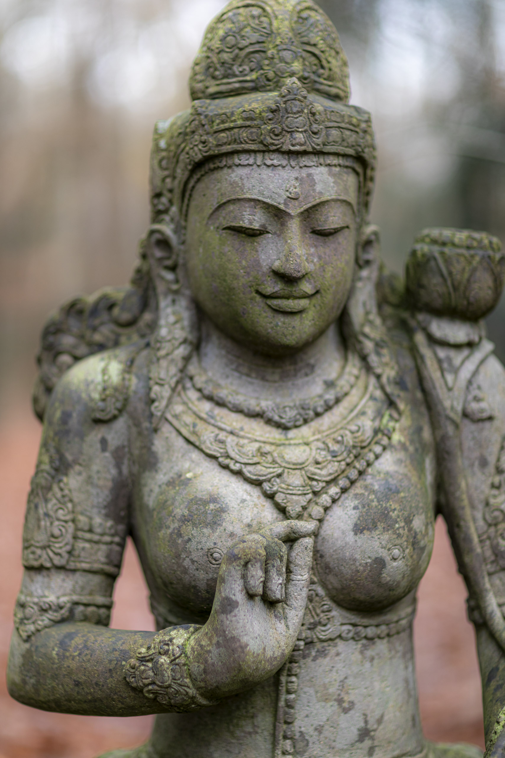 20241206131937 RD4 5725