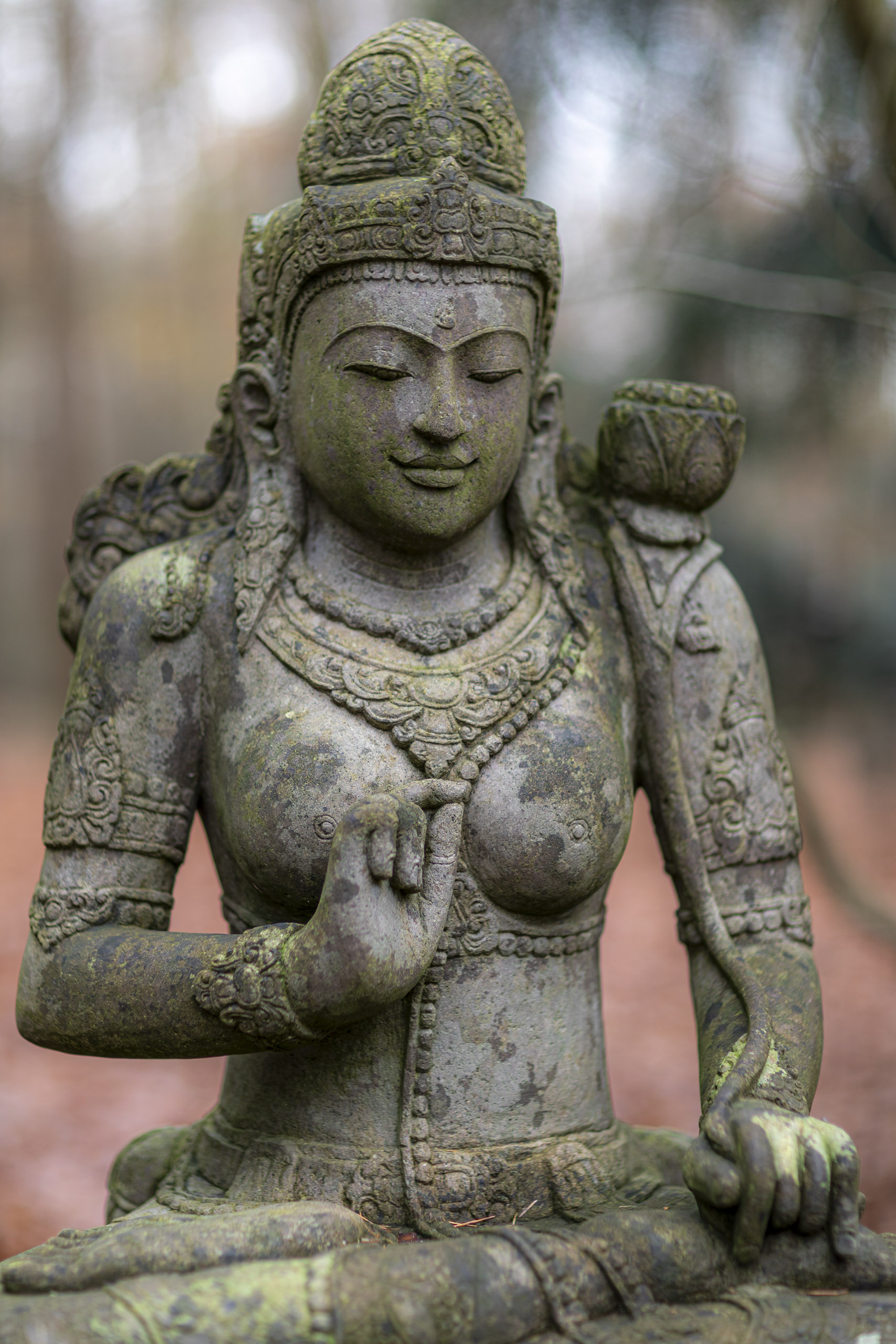 20241206131947 RD4 5729