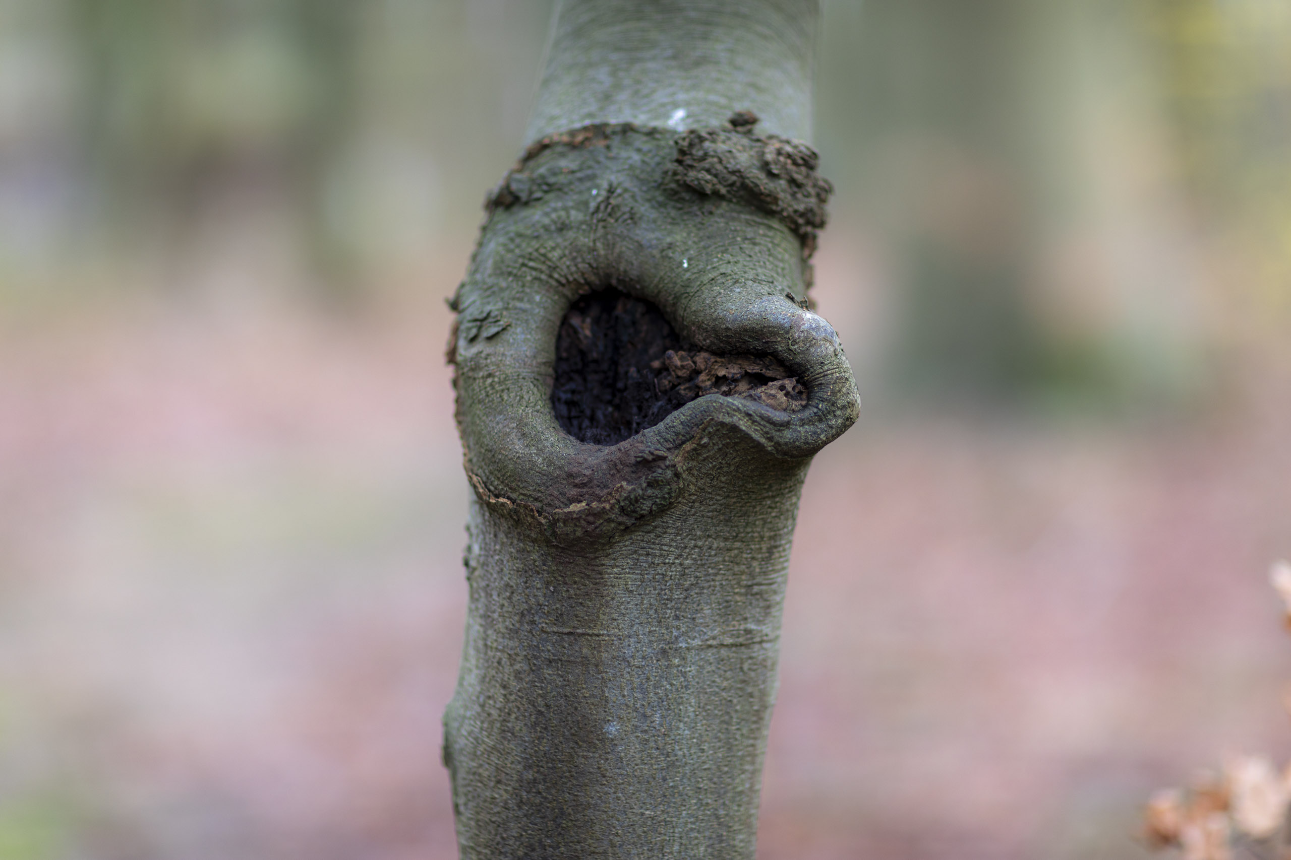 20241206132149 RD4 5741