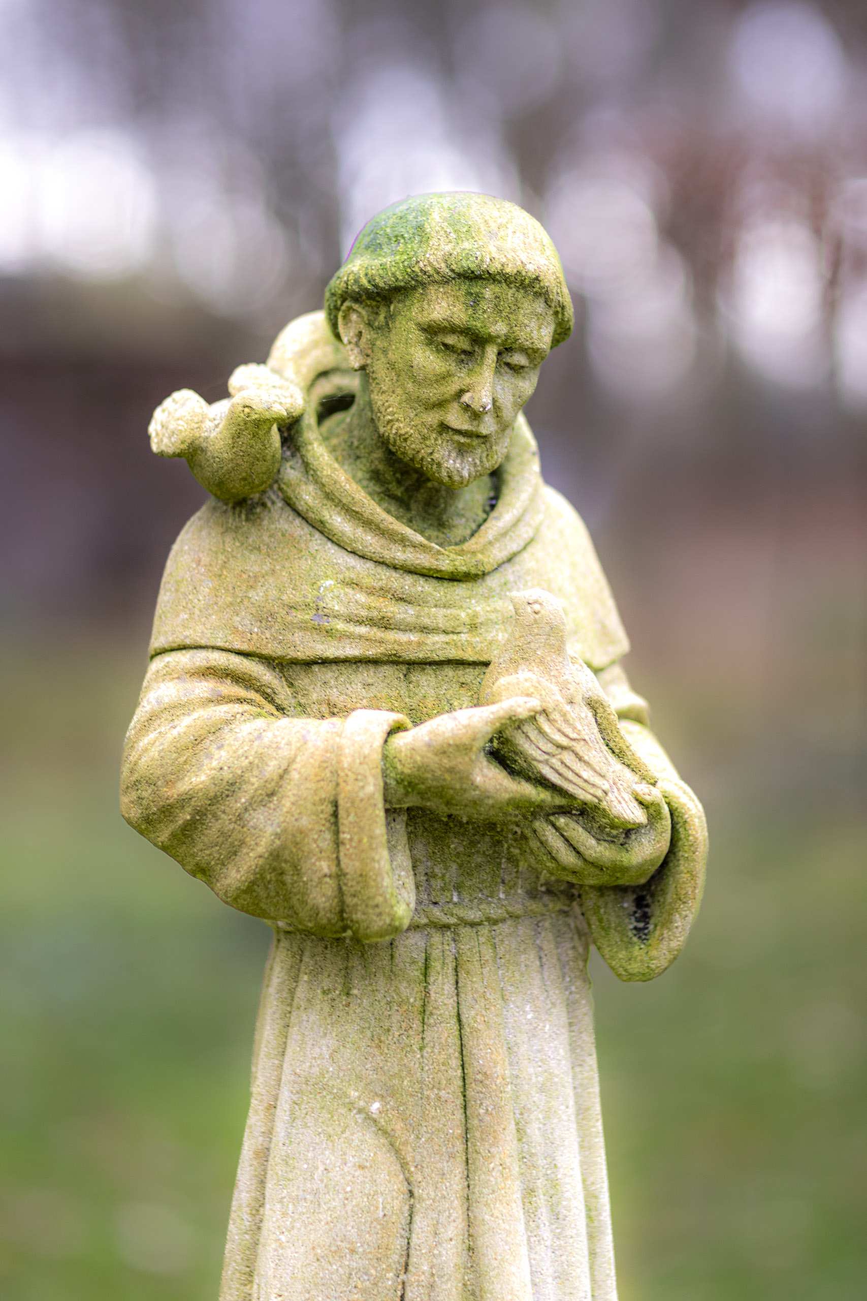 20241206132324 RD4 5743