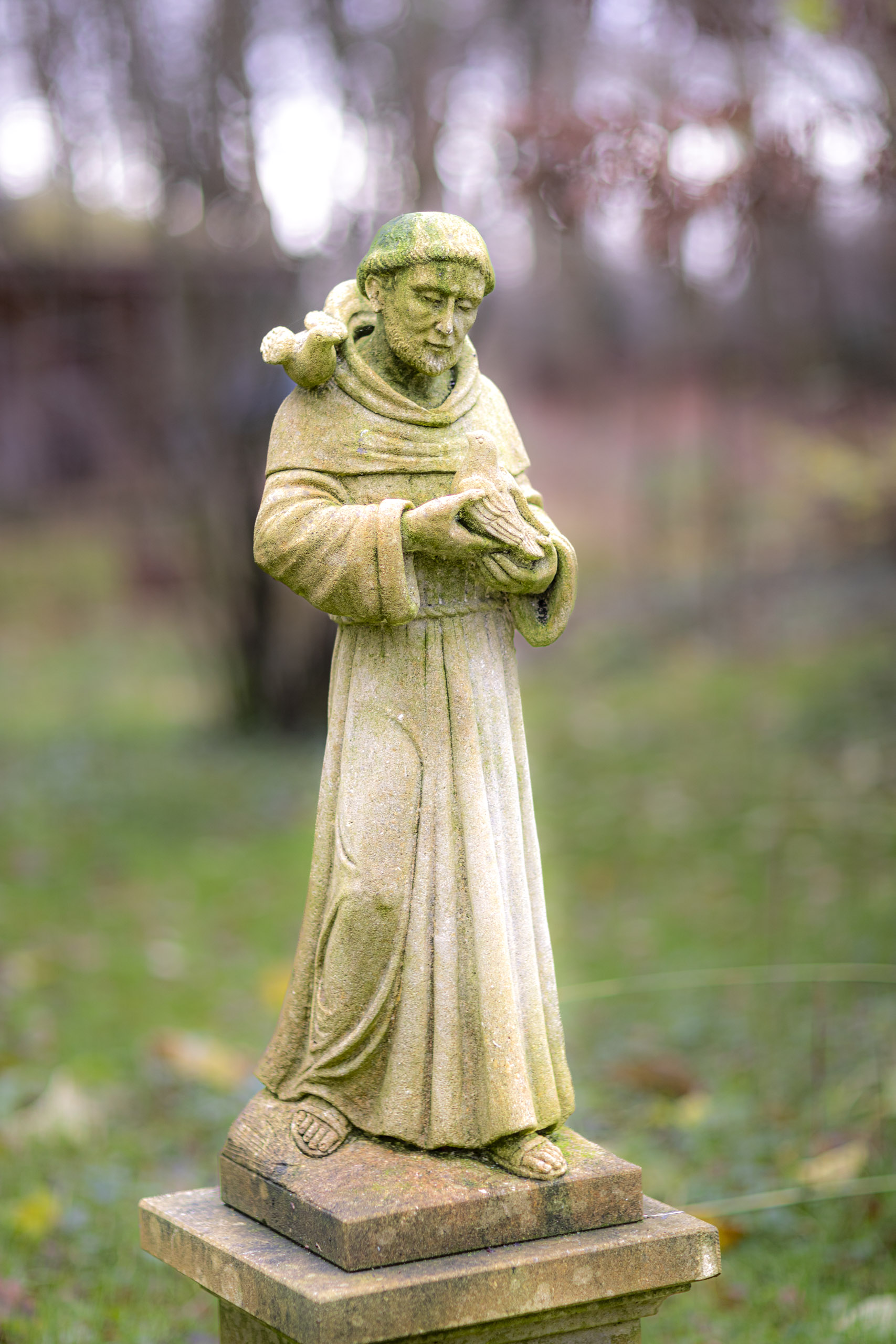 20241206132341 RD4 5753