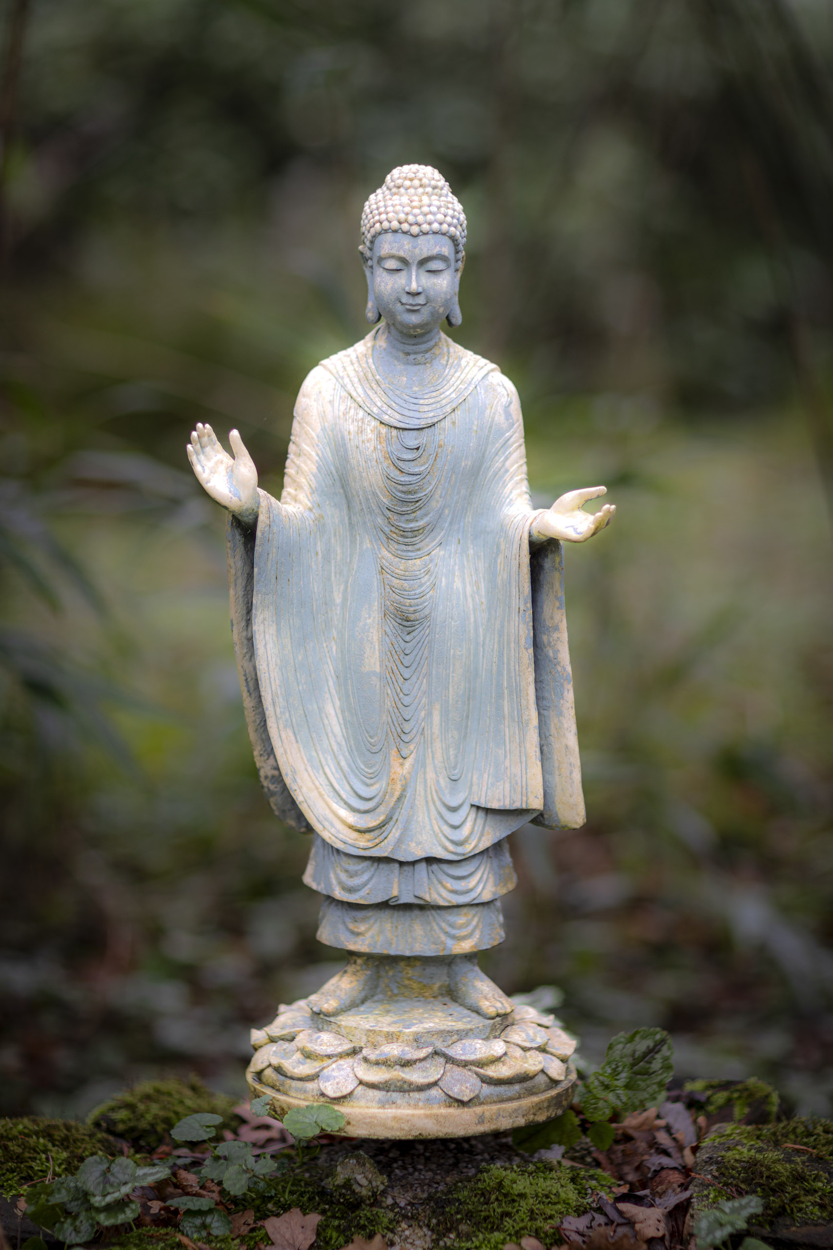 20241206132407 RD4 5756