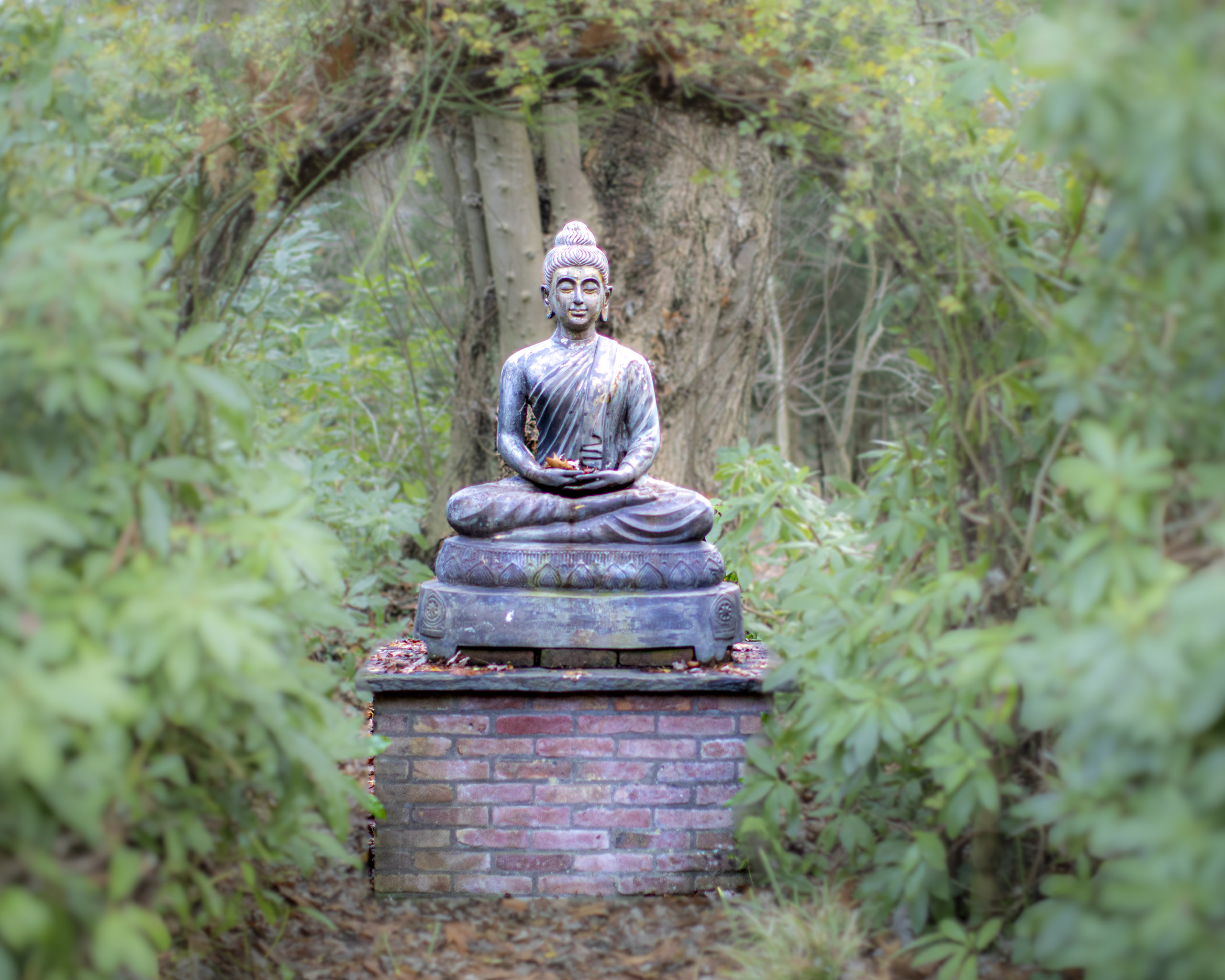 20241209091925 RD4 5771