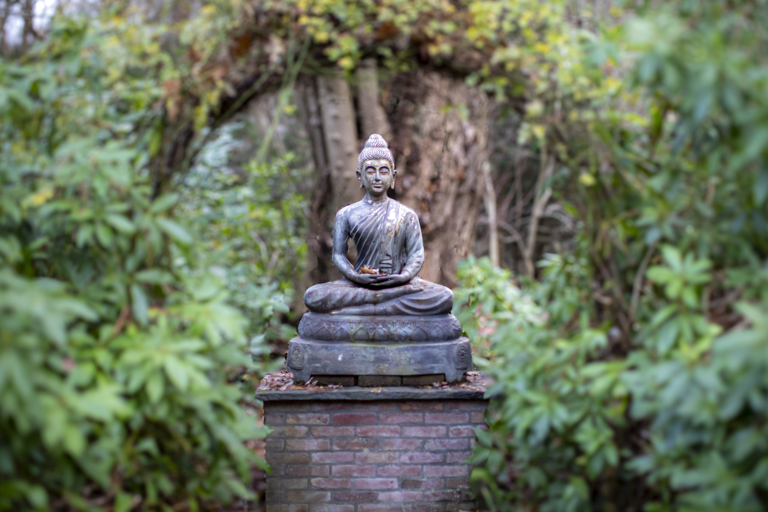 20241209091928 RD4 5772