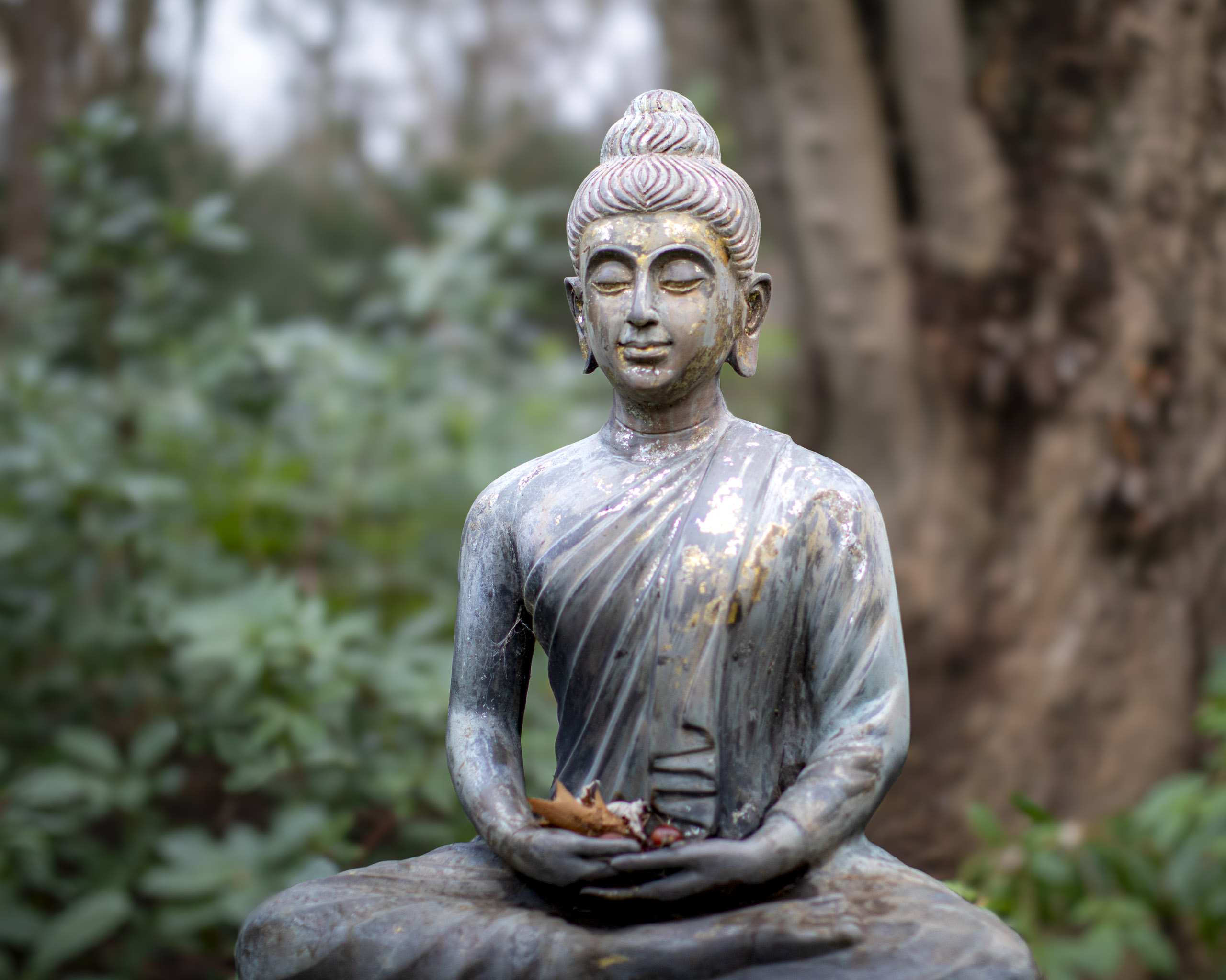 20241209092040 RD4 5779