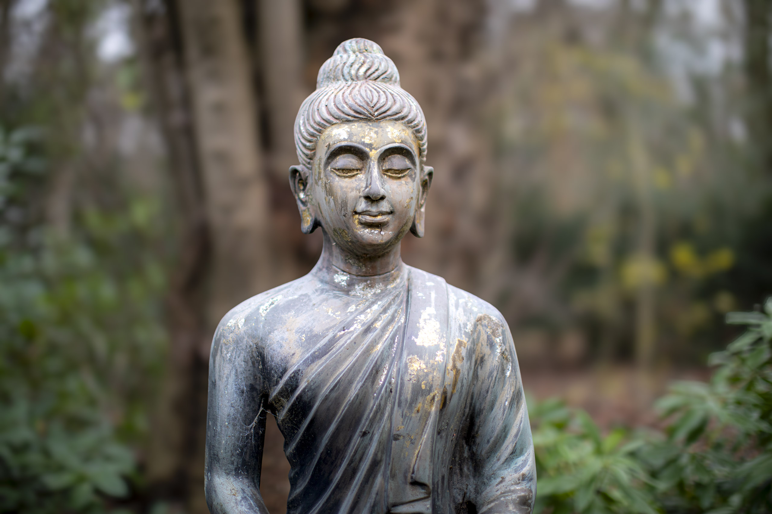 20241209092100 RD4 5785