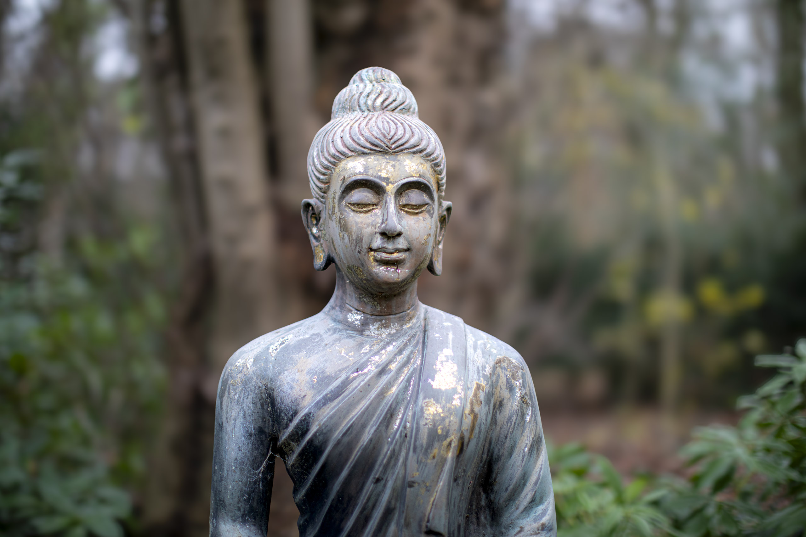 20241209092106 RD4 5786