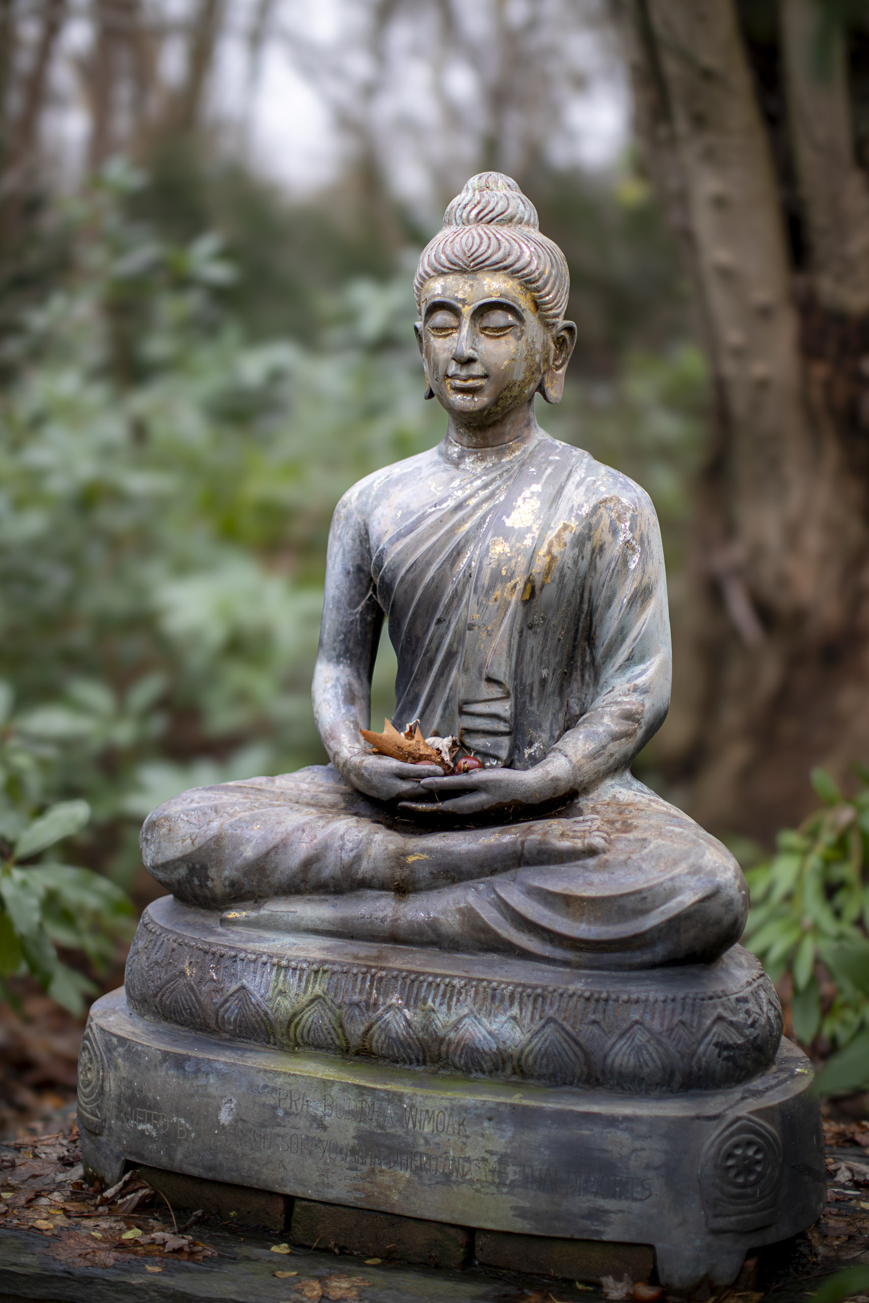 20241209092137 RD4 5793