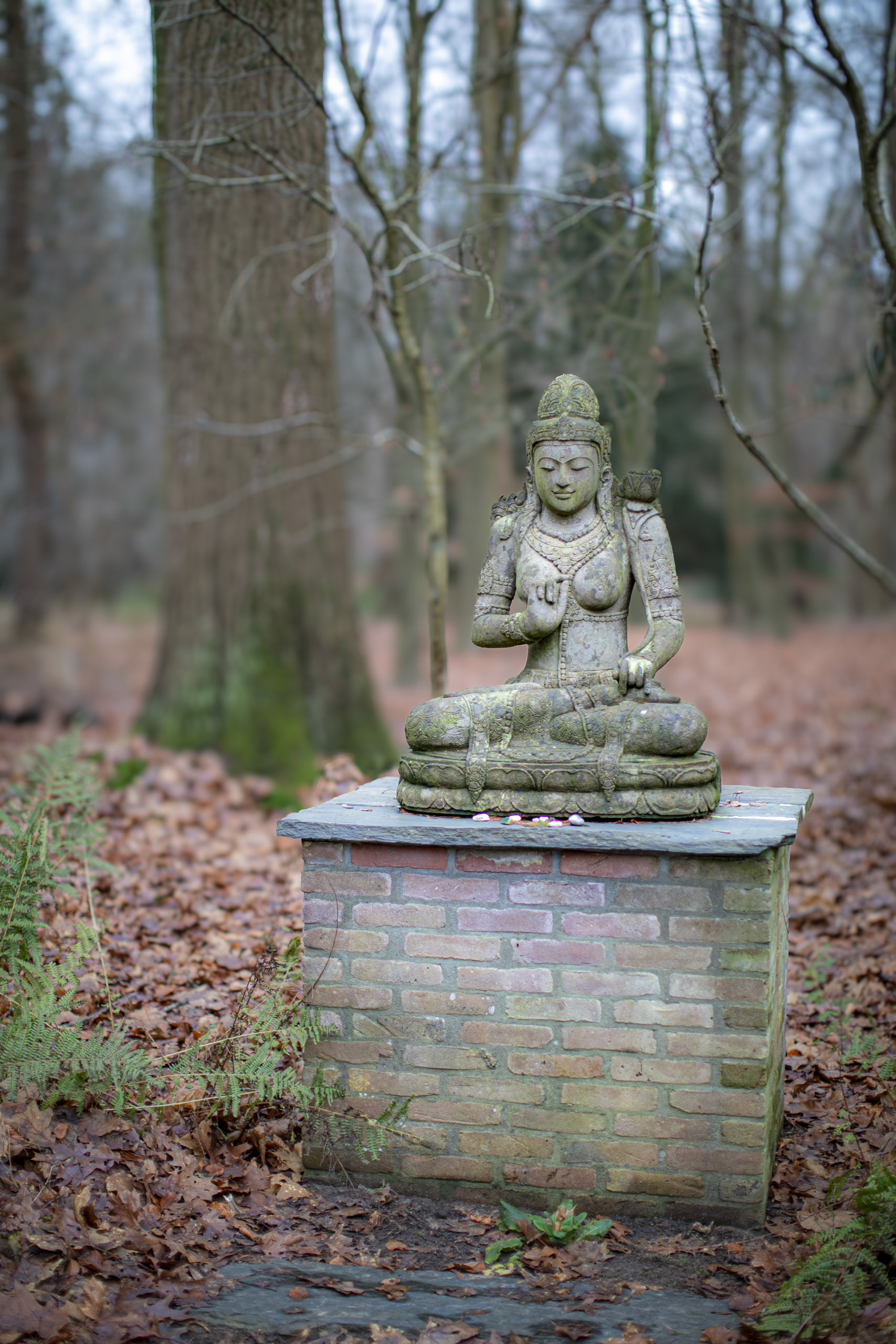 20241209092306 RD4 5805