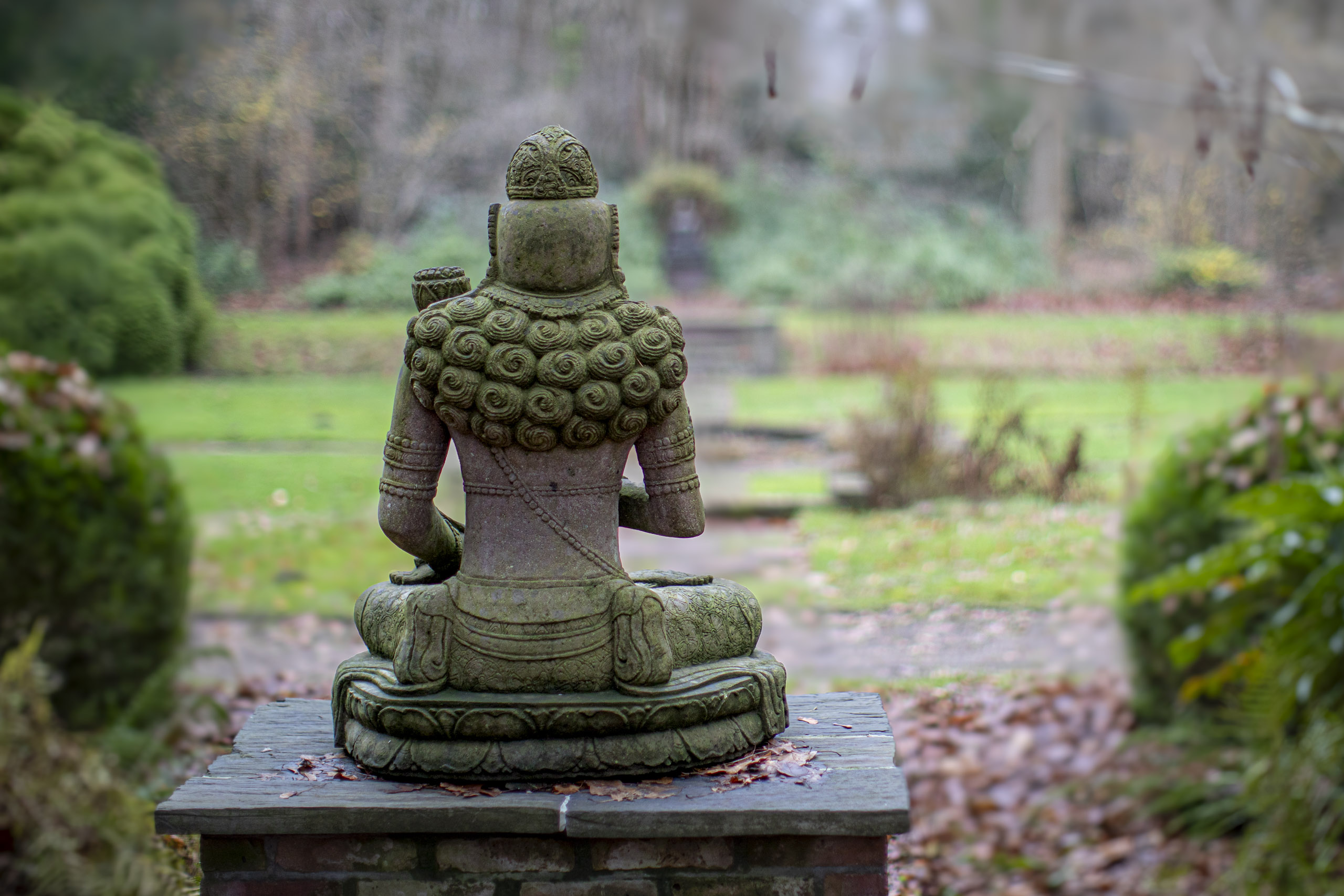 20241209092504 RD4 5816