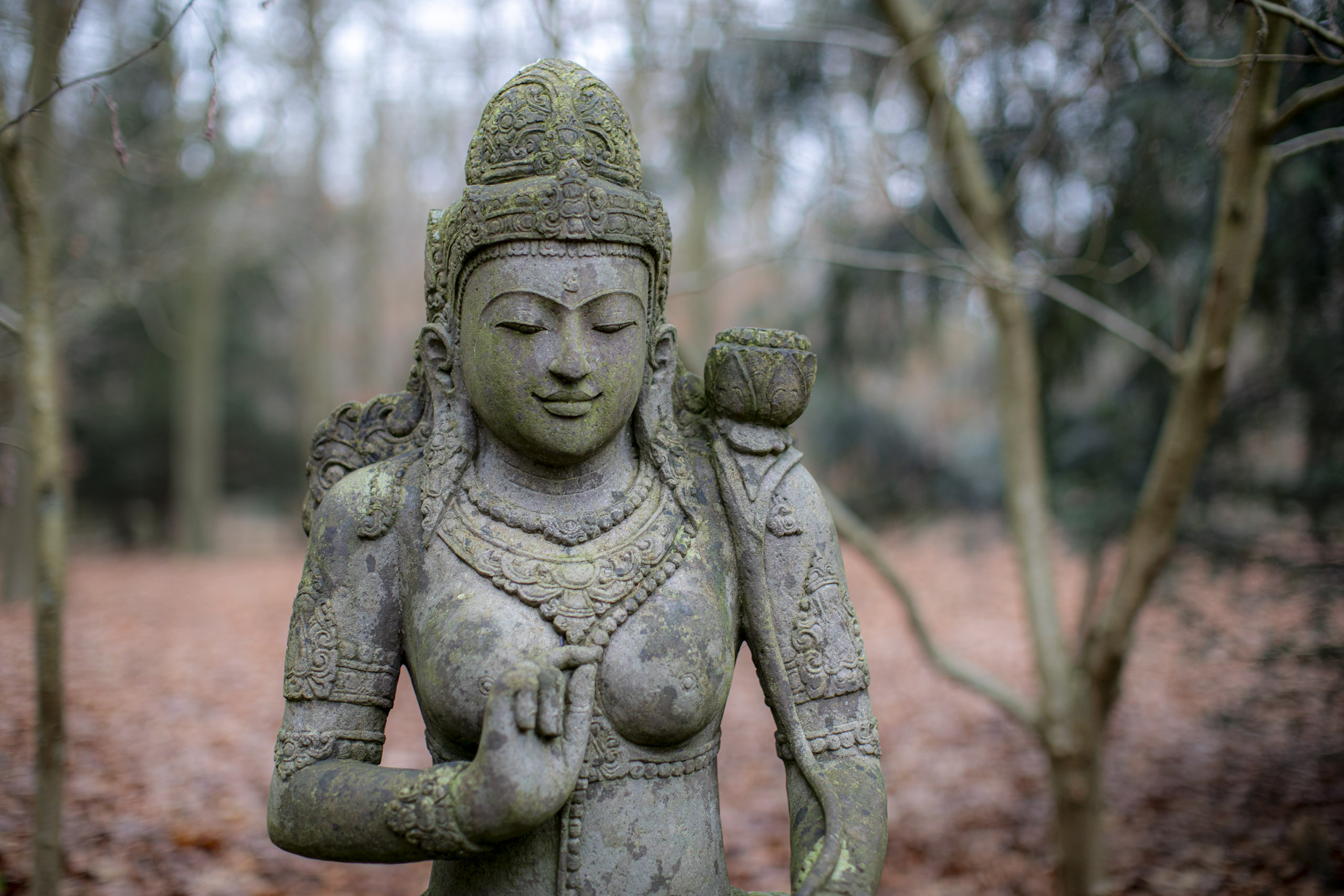 20241209092616 RD4 5837