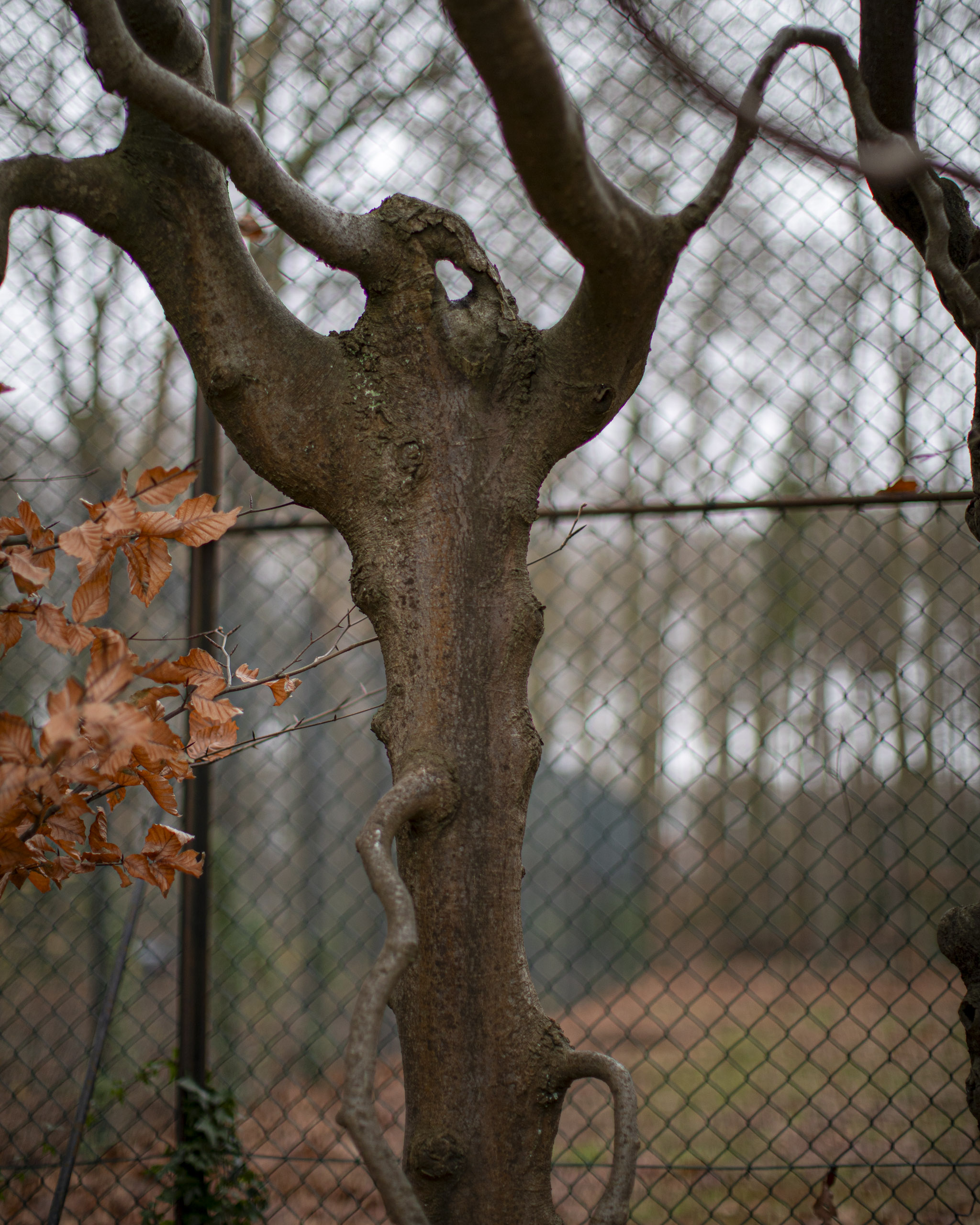 20241209092810 RD4 5852