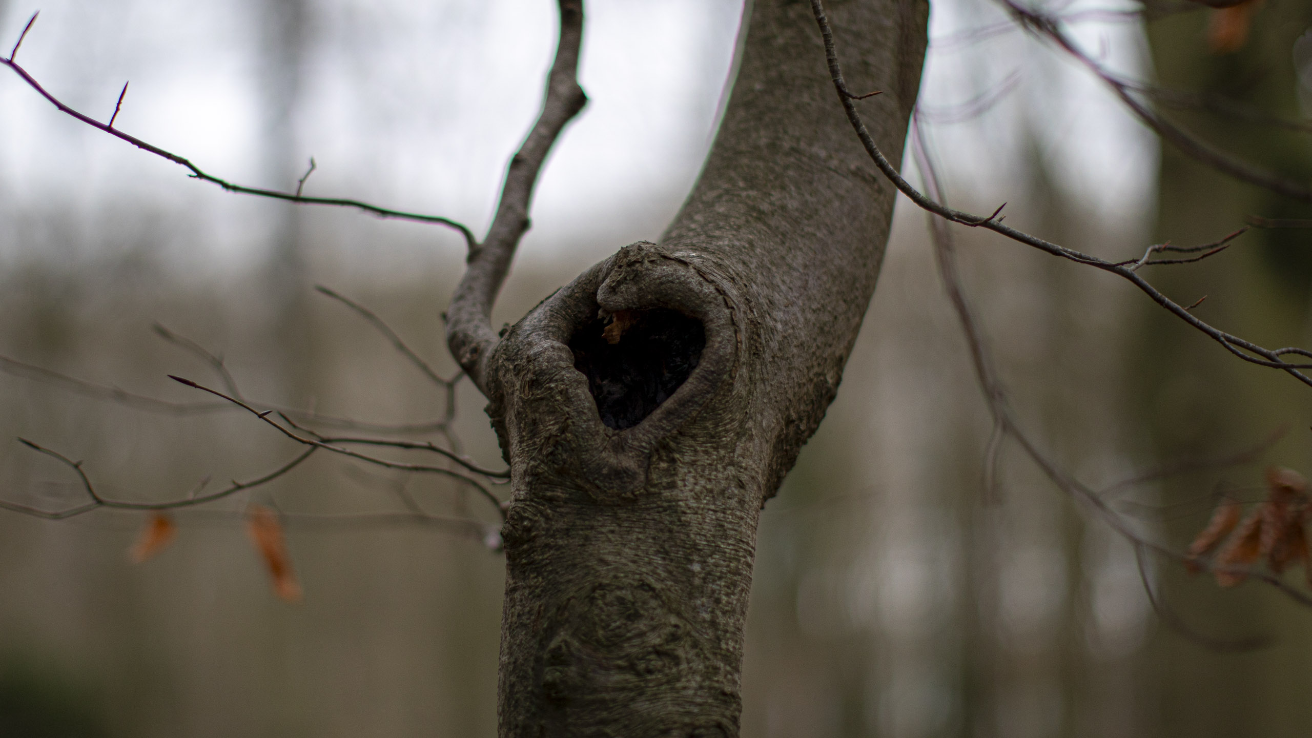 20241209092955 RD4 5875