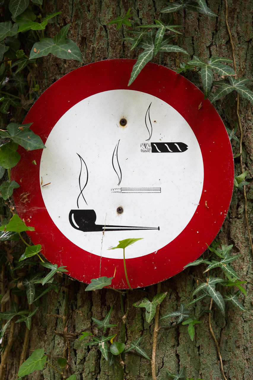 20130614125655 29221