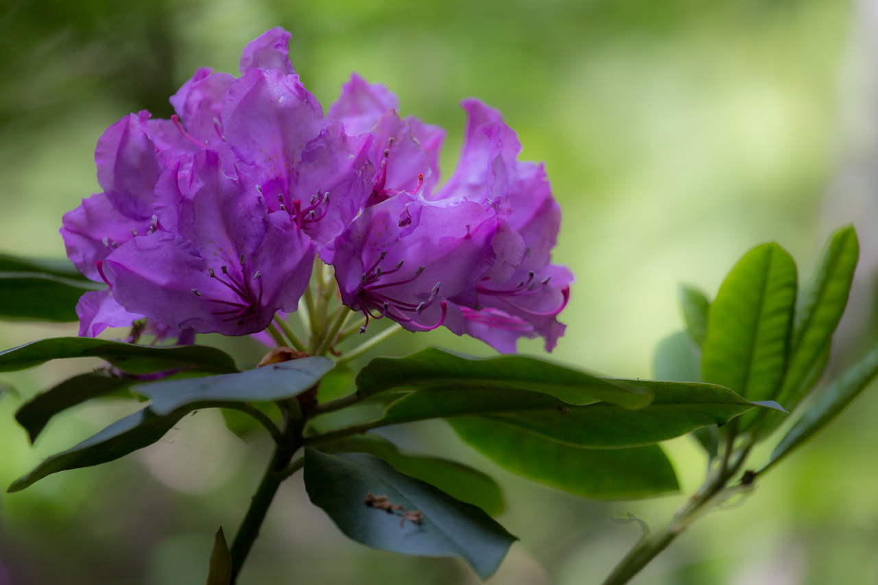 20130614125756 29227