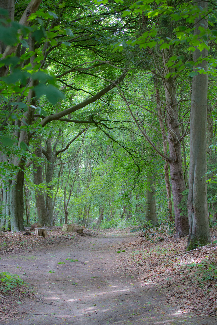 20130614125844 29233