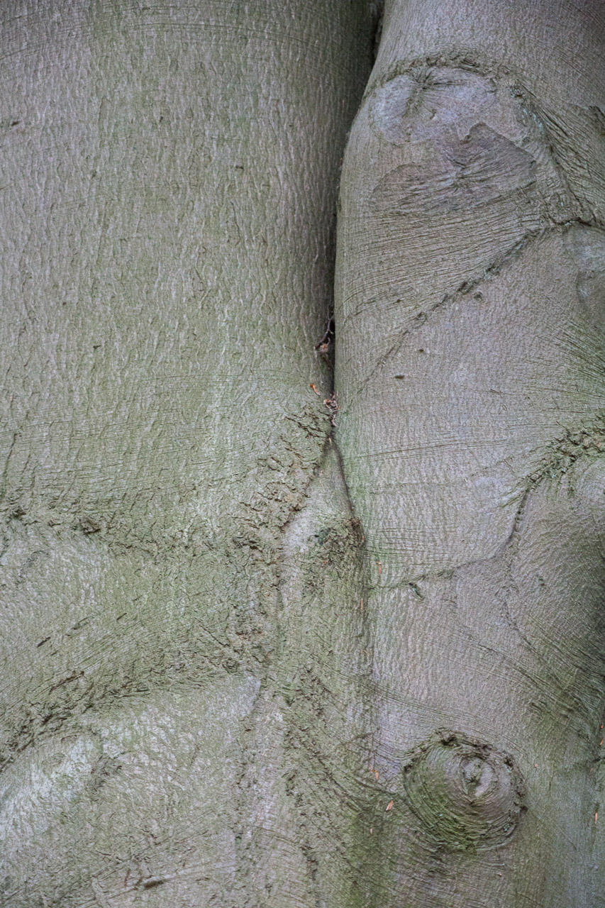 20130615191414 29345