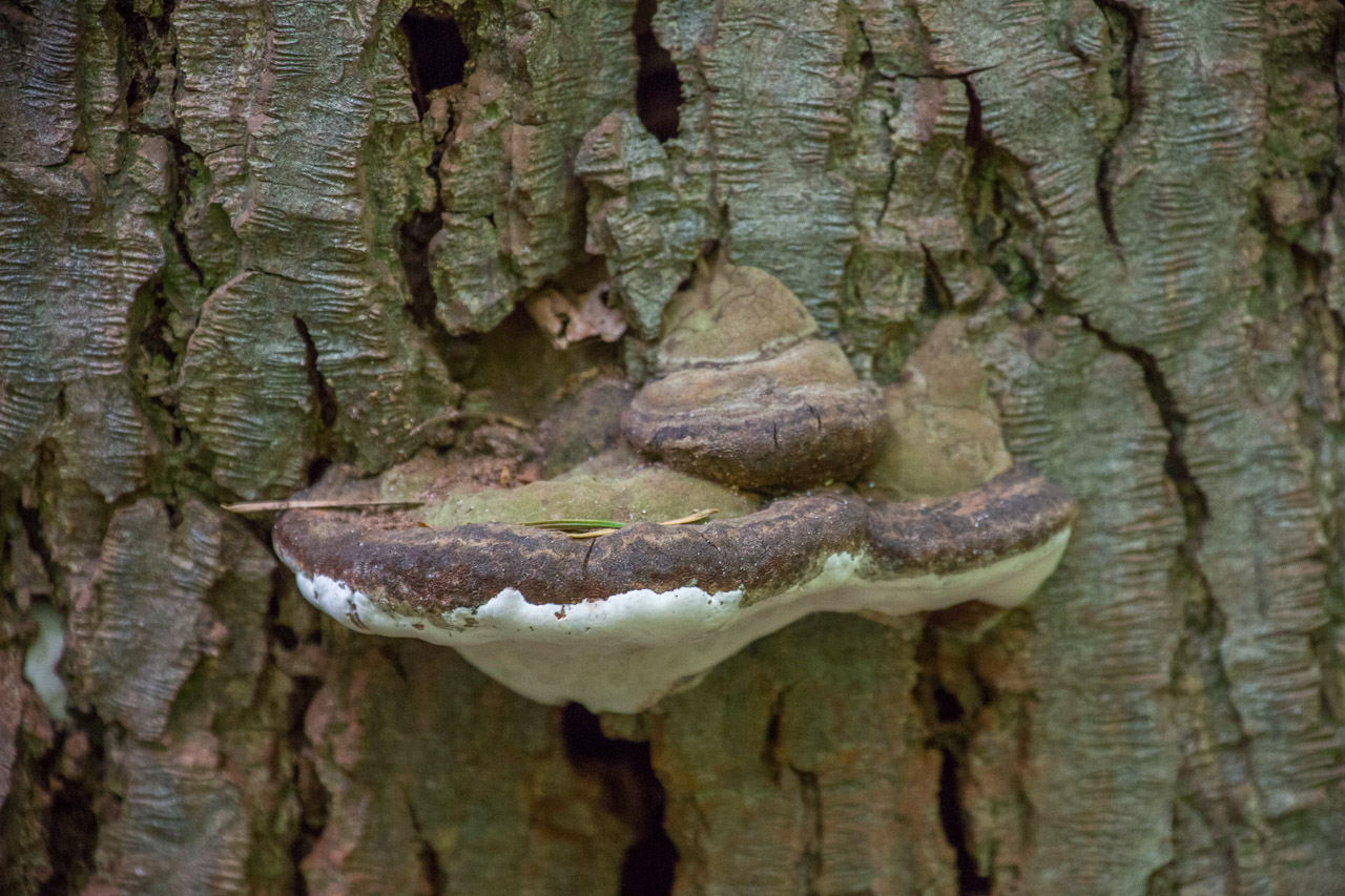 20130615191604 29357