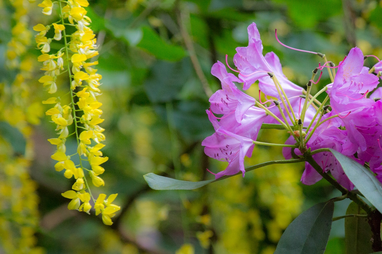 20130615191718 29365