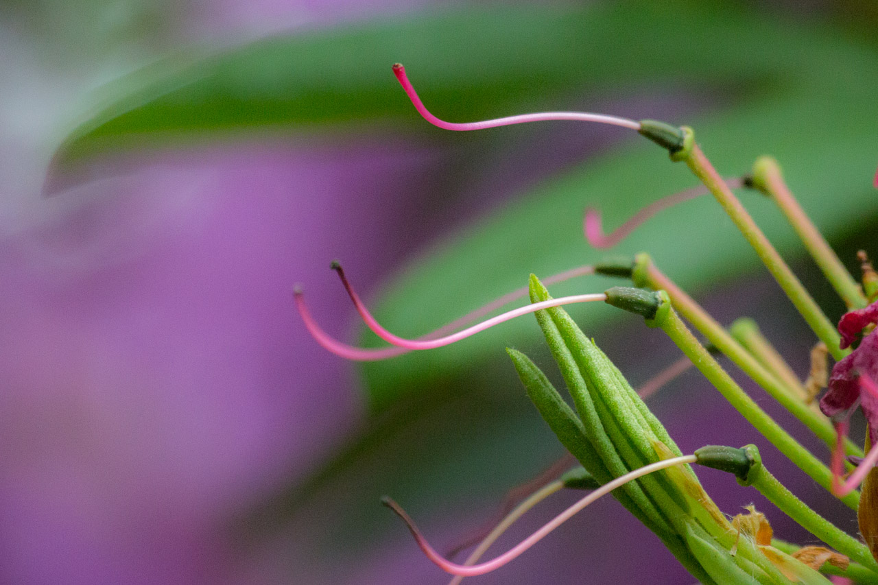 20130615191748 29375