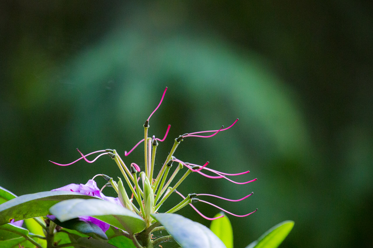 20130615191950 29397