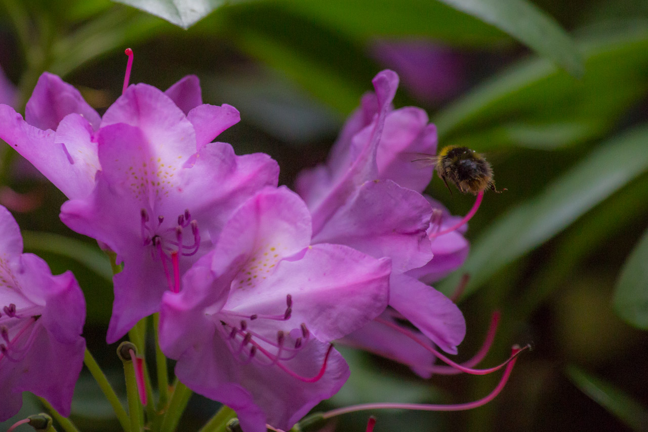 20130615192051 29419