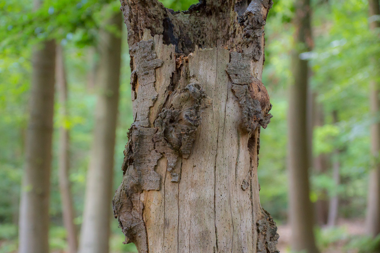 20130615192750 29477