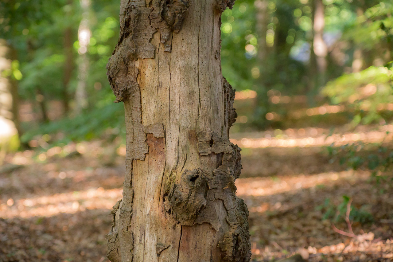 20130615192951 29509