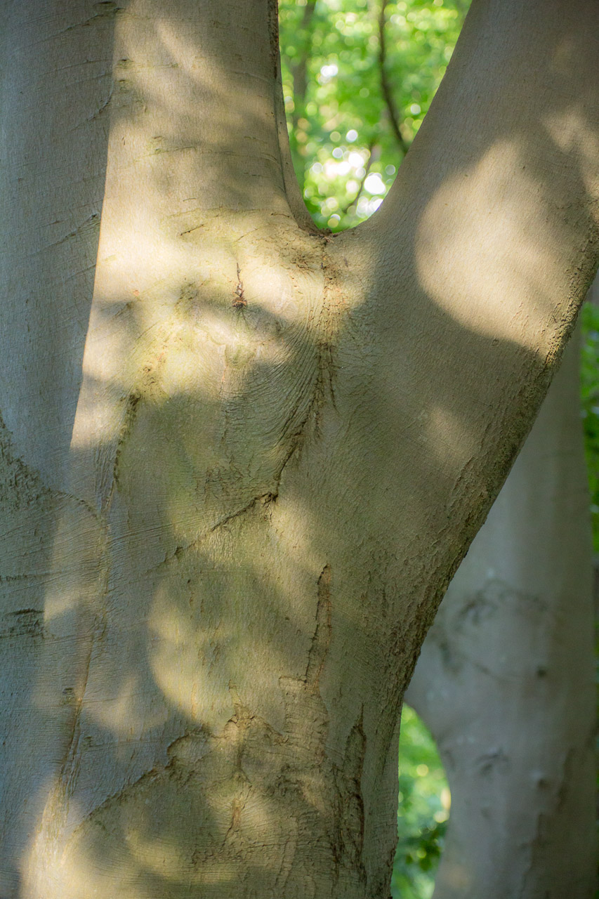 20130615193227 29527