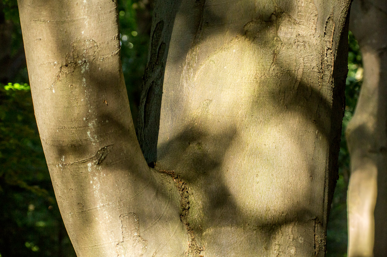 20130615193239 29537