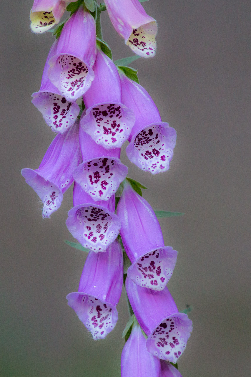 20130615193531 29558