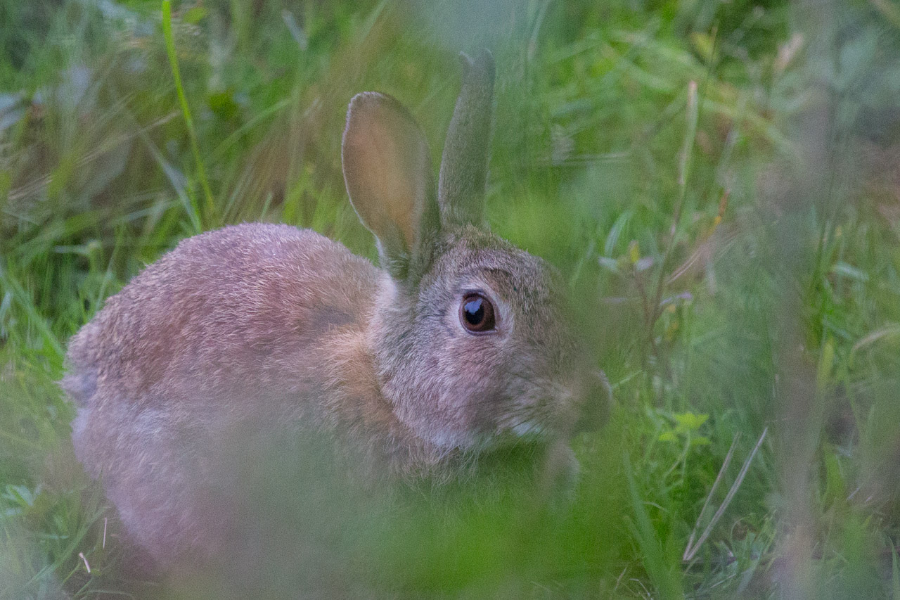 20130616200850 29663