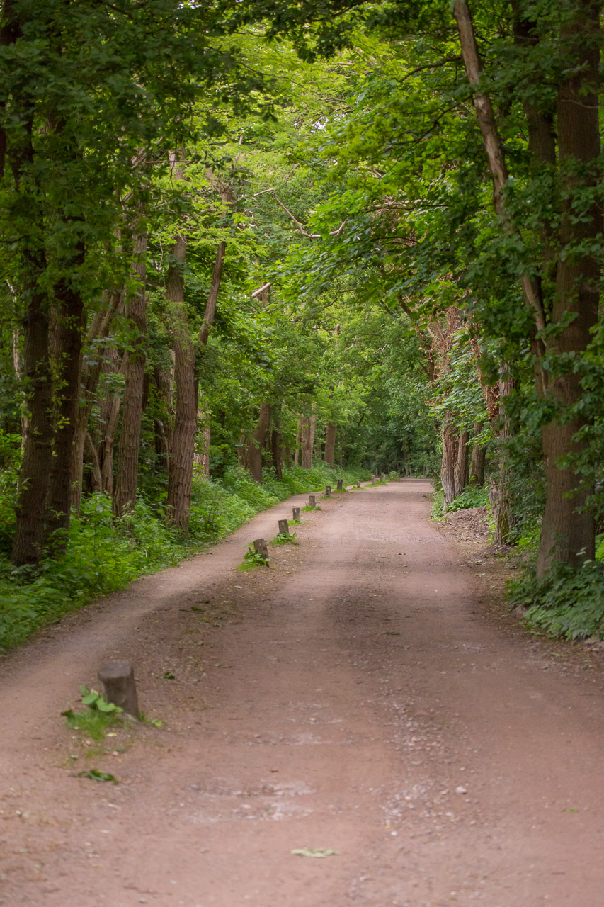 20130616201057 29673