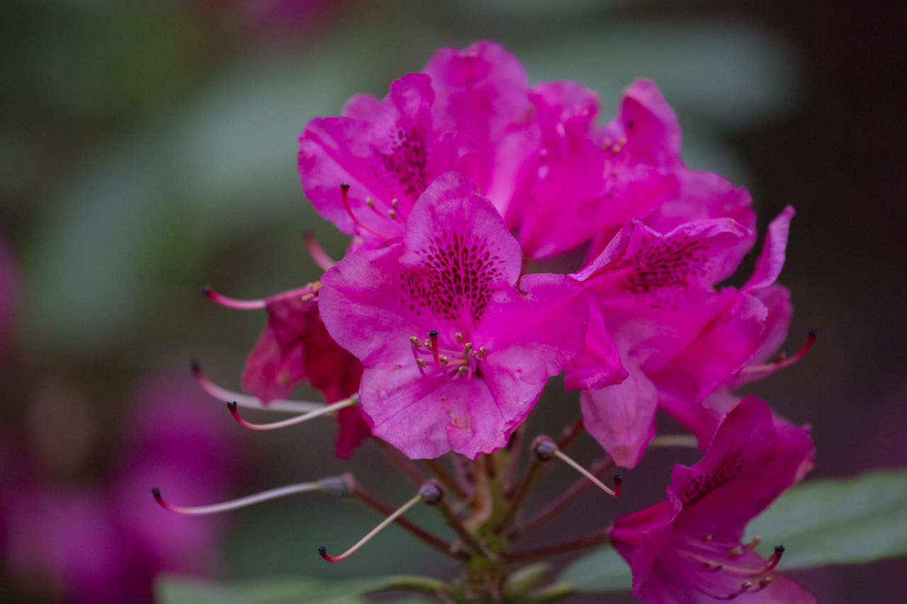 20130616202946 29726