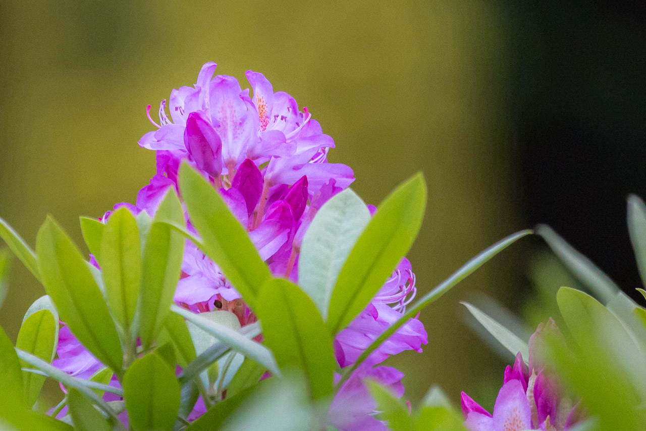 20130616205218 29814