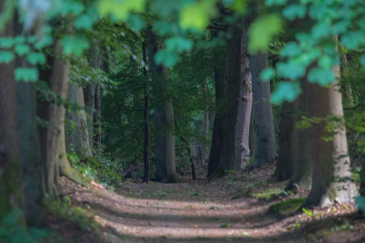 20130616210322 29851