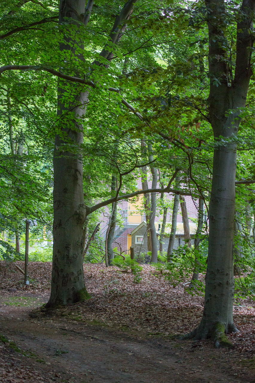 20130616211356 29877