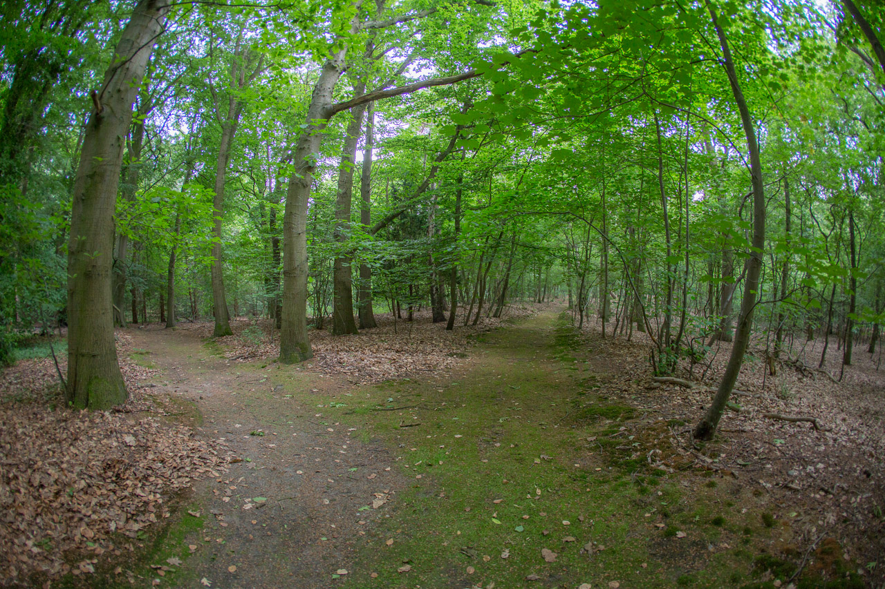 20130618194656 21048