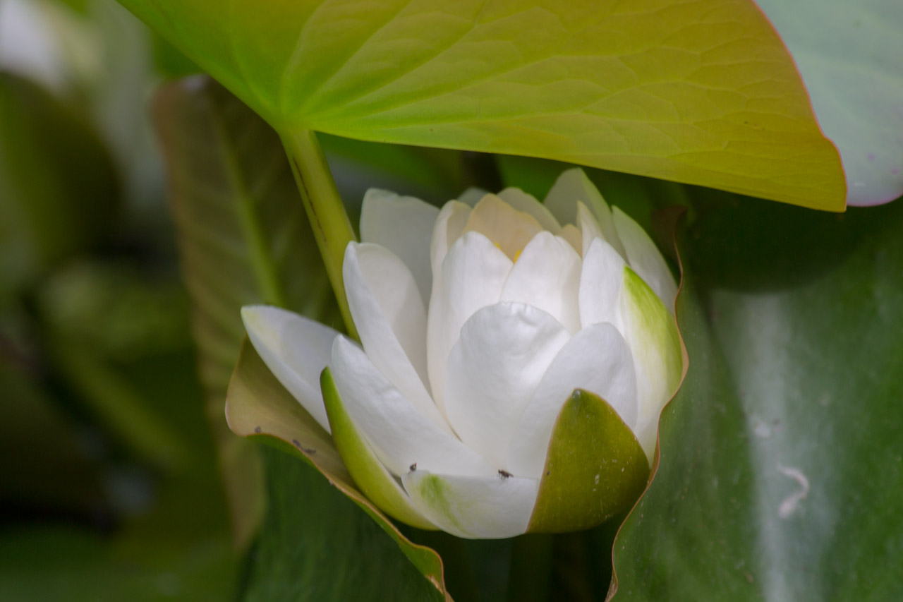 20130619173843 21284