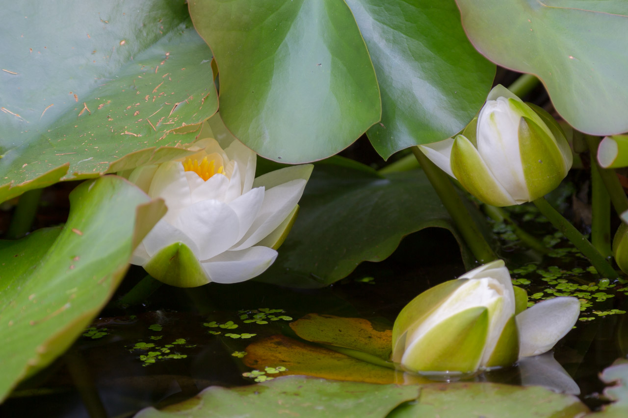 20130619173901 21292