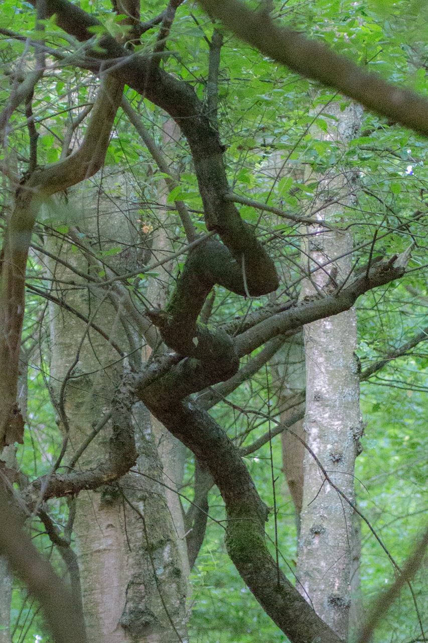 20130619205547 21379